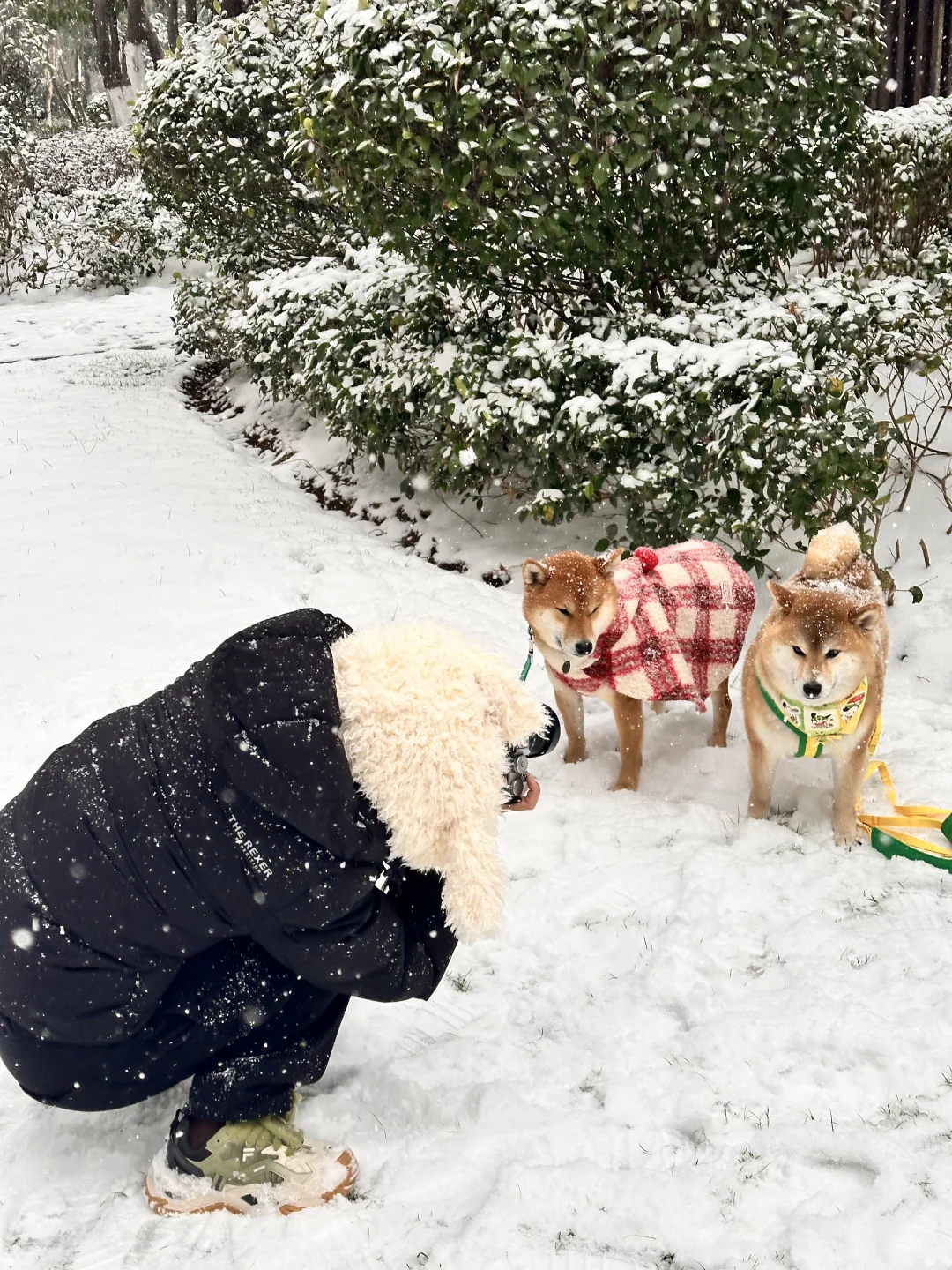 一生要出片的妈妈真的不冷