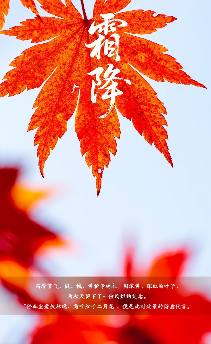 【今日，霜降】今日17时38分迎霜降。这是秋季最后一个节气，下一个节气就是立冬了