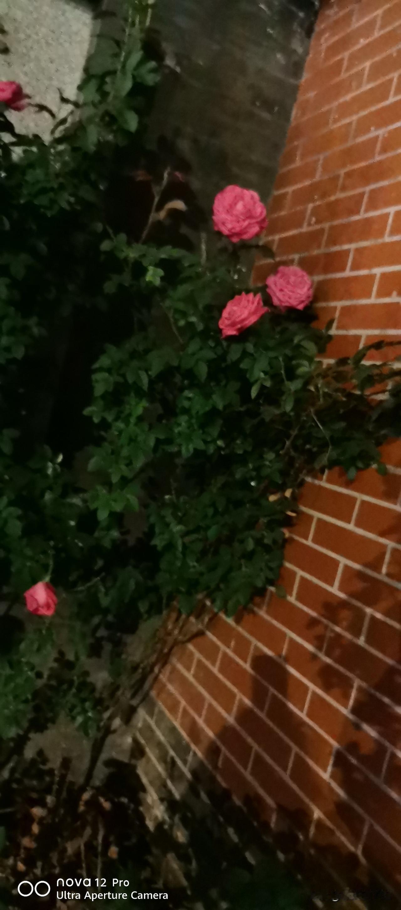 晒图笔记大赛