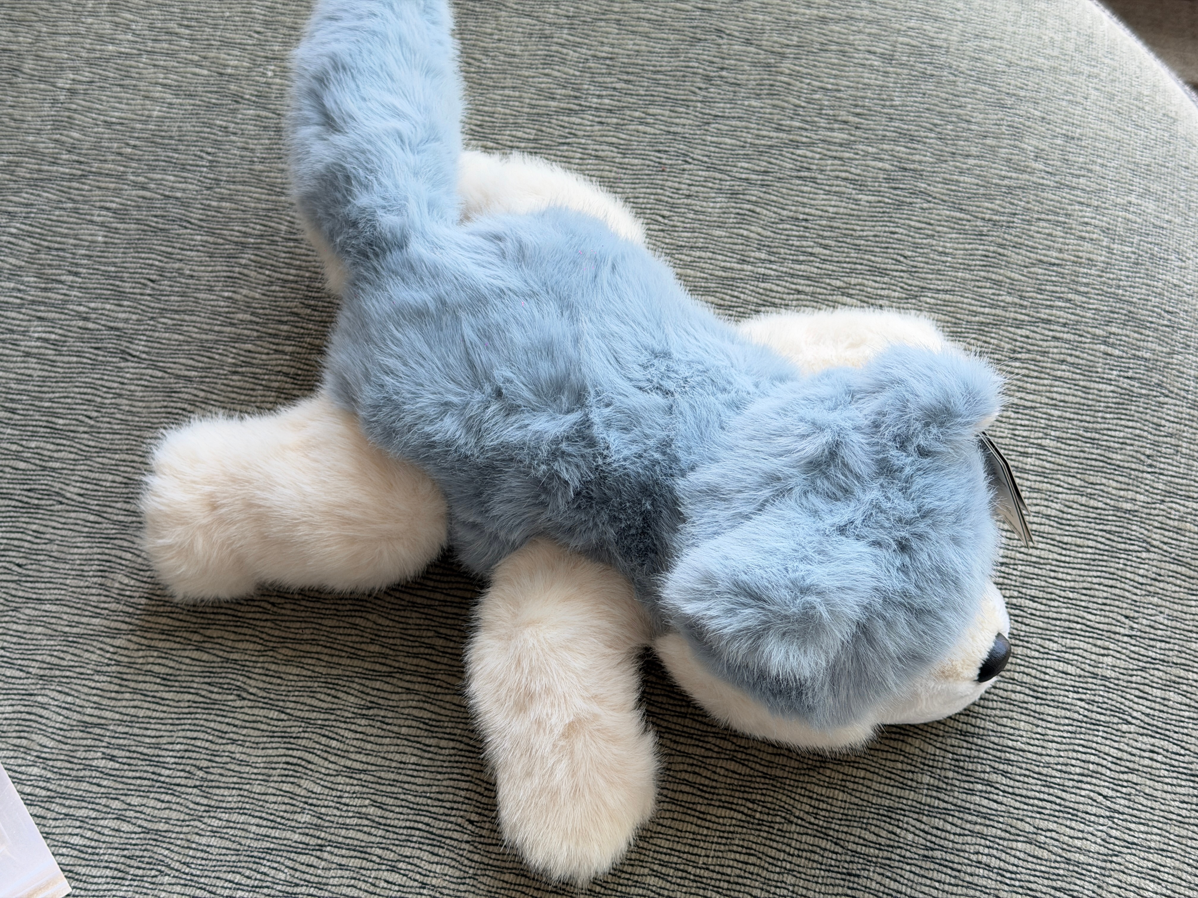 到了苏州，今晚参与追觅“敢梦敢为”新式年会演唱会！主角有：CEO俞浩、追觅全员、