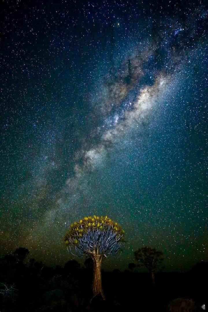南方的星空纳米比亚箭袋树谢田的环球足迹