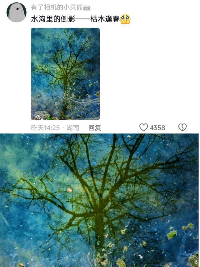 往往随手一拍更能封神出片 