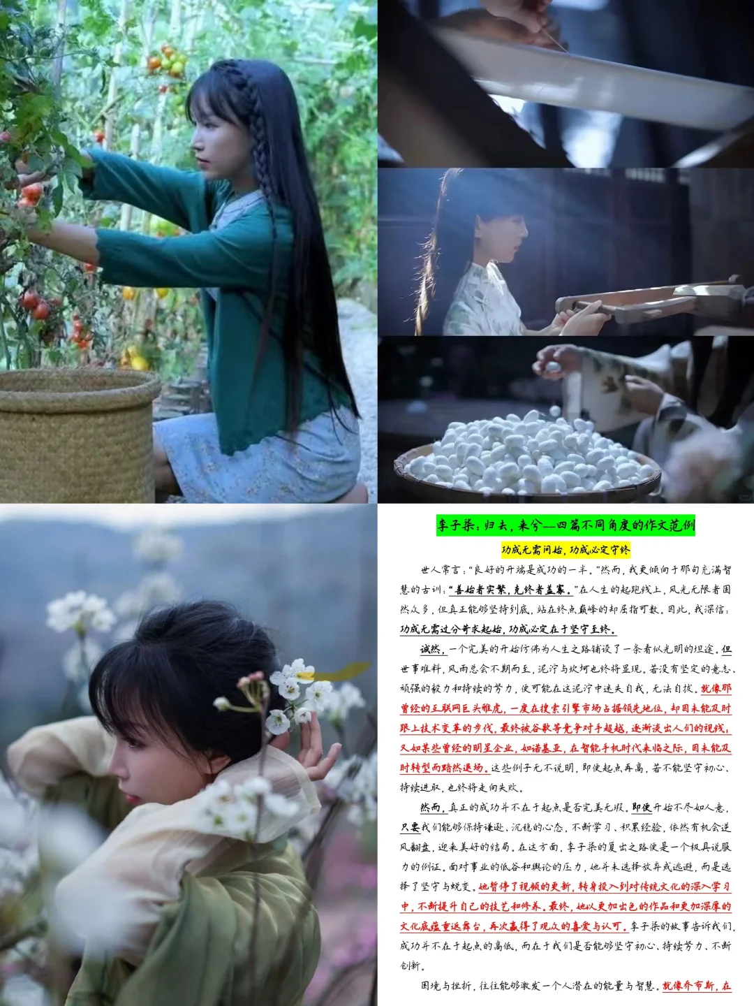 李子柒：归去，来兮～四篇不同角度的作文