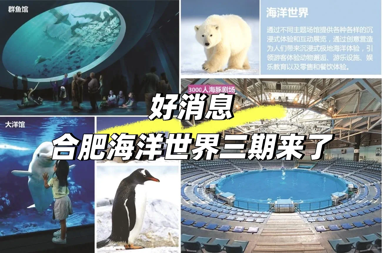 好消息！合肥海洋世界三期来了