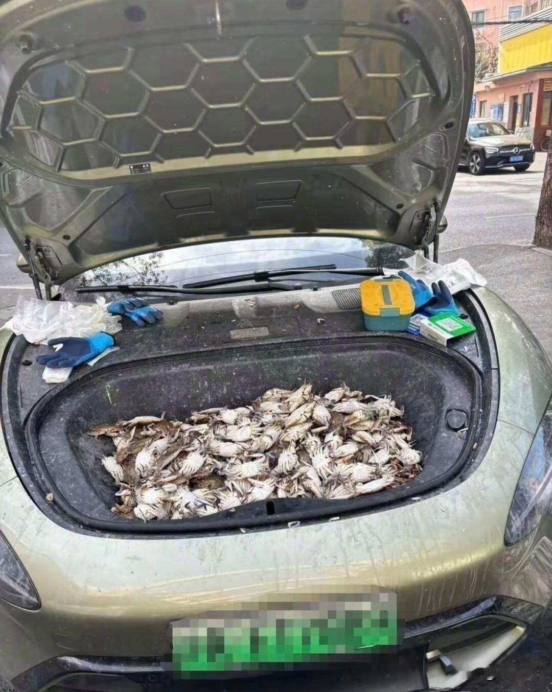 这车主也是个狠人啊，讲真的如果是我可能舍不得！

我估计雷总都想不到有一天他的车