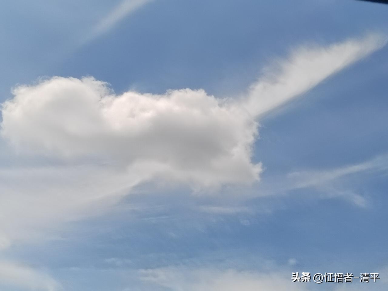 照见五蕴皆空，
什么是五蕴？

色、受、想、行、识。

色：身体、物质、财富、外
