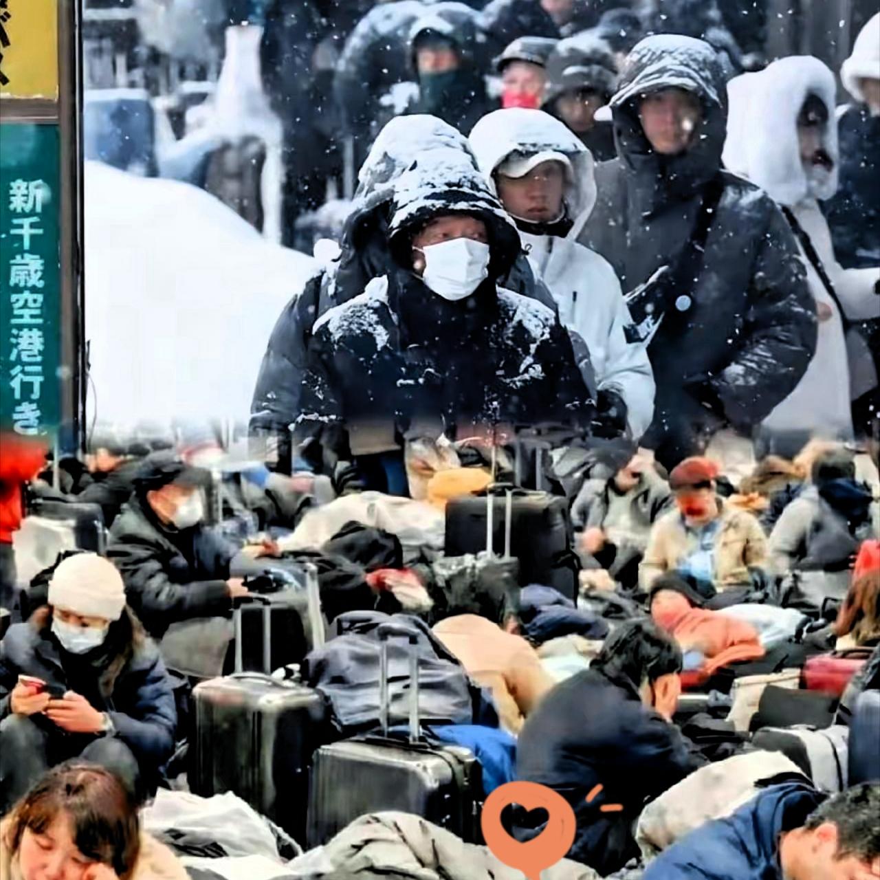 看到北海道那帮游客喊着要包机接回，真是把大牙都笑掉了

一月下旬，日本北海道遭遇