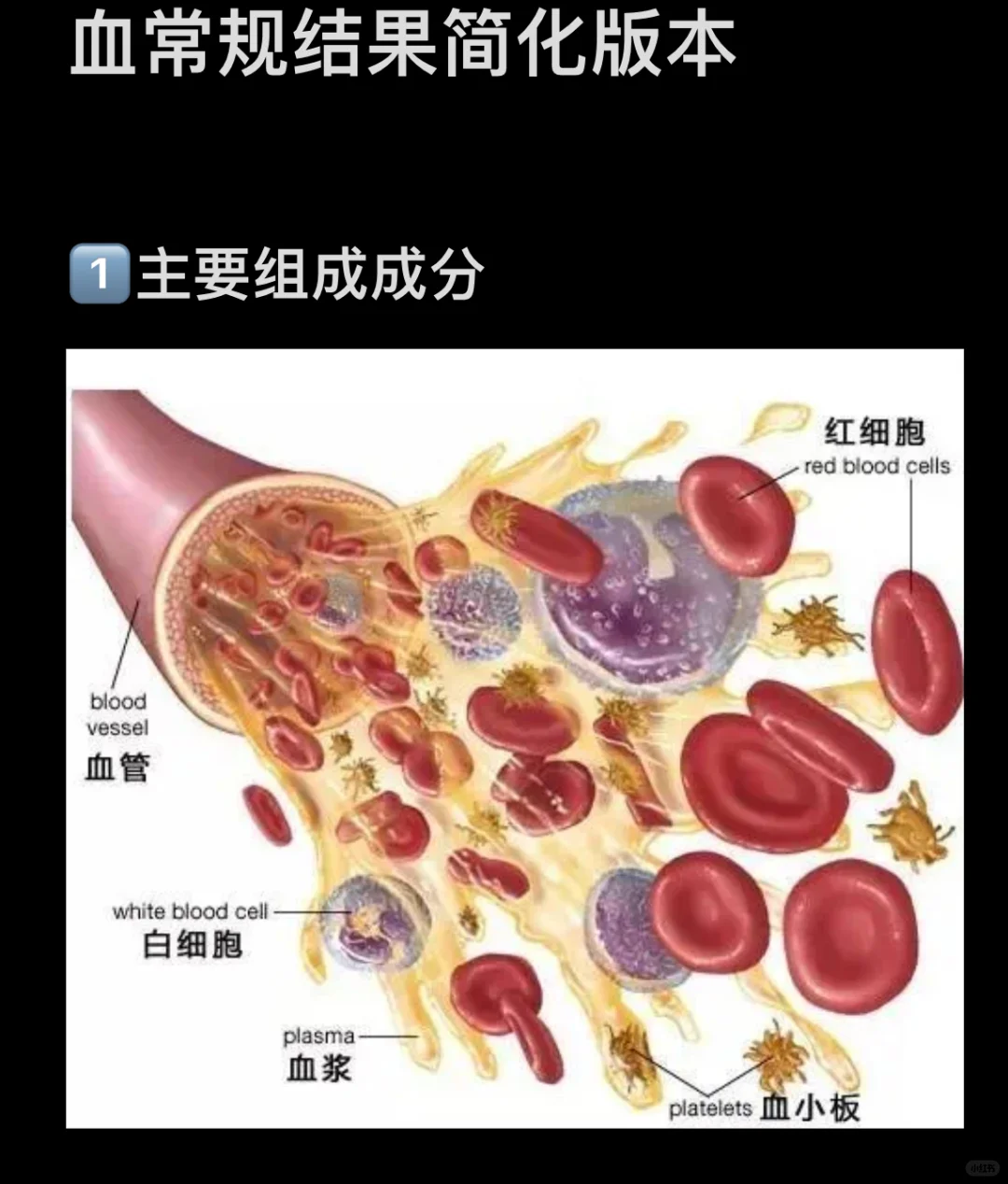 简化思路，学会有效看血常规