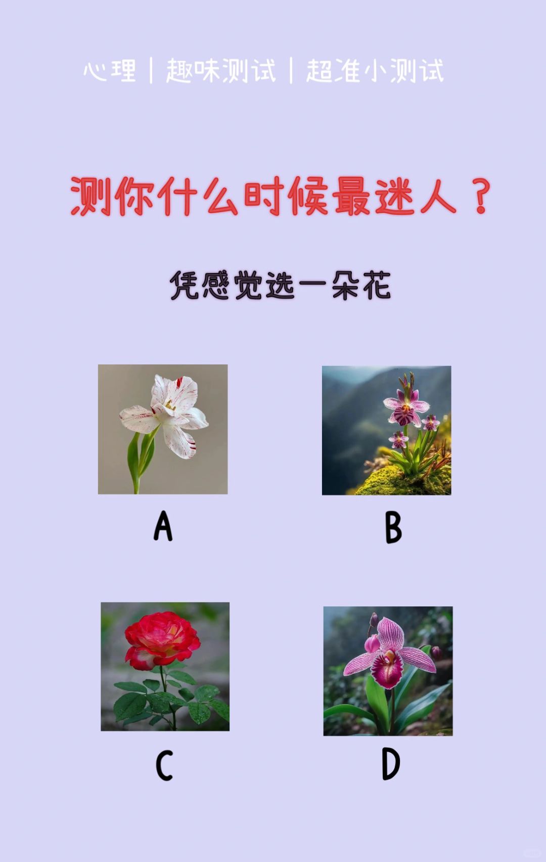 🔥测试｜测你什么时候最迷人？