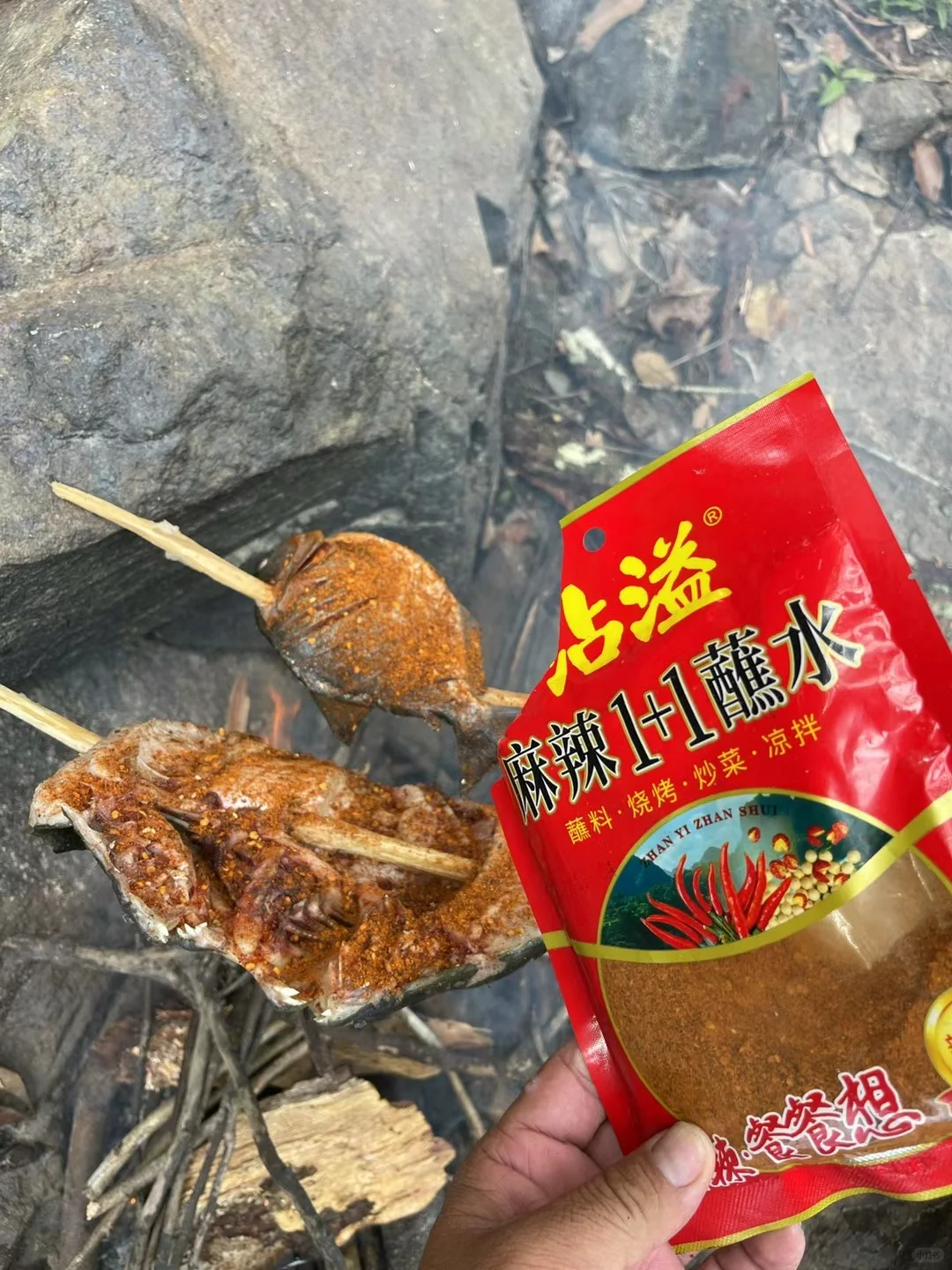 意外钓获大电鳗🐟