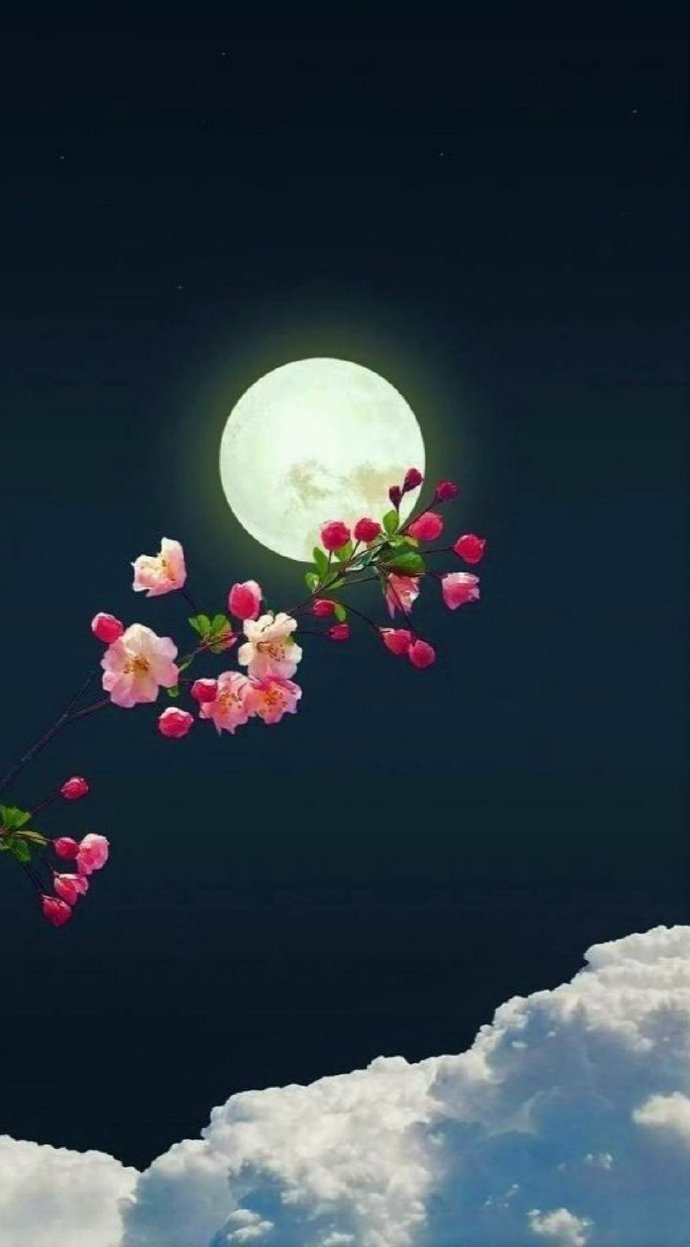 “ 如此好花如此月，莫将花月作寻常 ...” 
