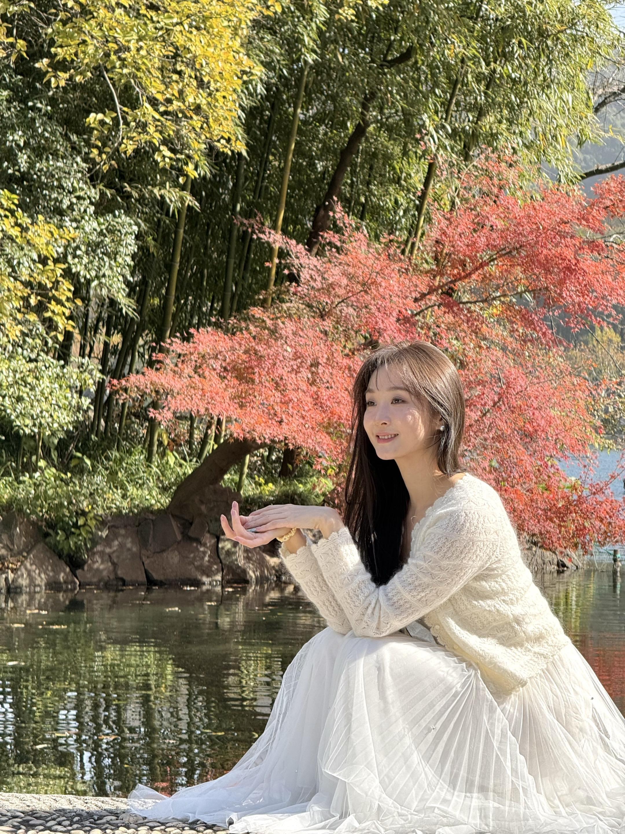 生命是一颗长满可能的树