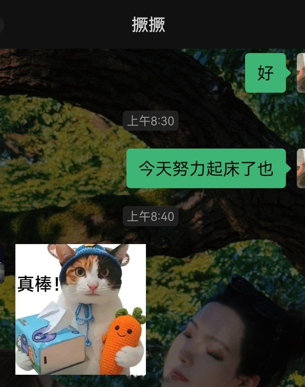 每天爬起来上班之后都要夸自己一句，真棒。