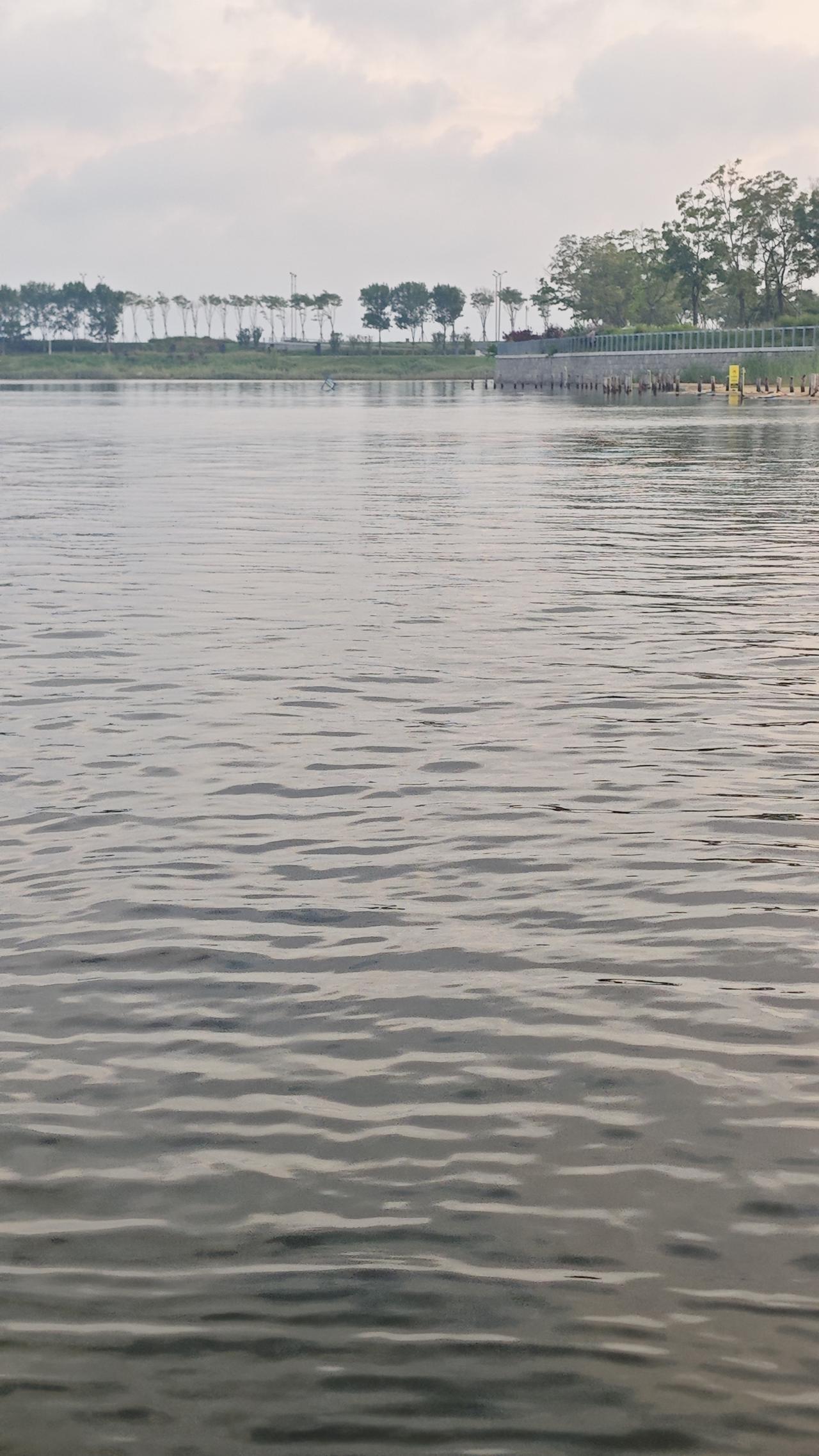 清晨5:15，连云港赣榆琴岛天籁沙滩，我被眼前一幕震住了！

天还没全亮，朝霞才