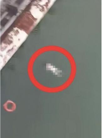 四川内江西林大桥的纵身一跃，让一位年轻母亲的生命永远定格，也留下一个未满周岁的婴