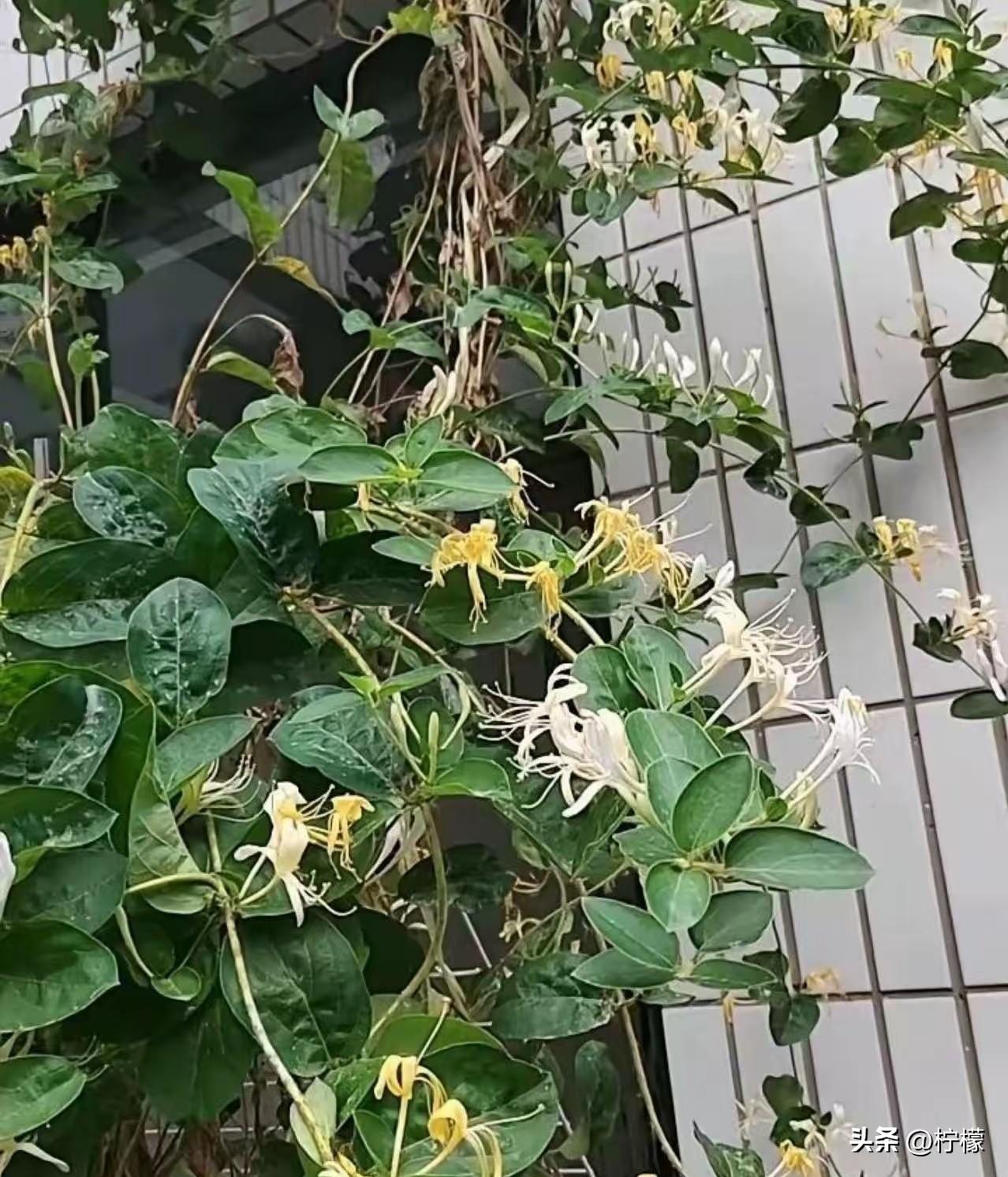 奉劝大家做事别太随意！
 
我二姨在妇幼医院的妇科干了三十多年。前几天家庭聚会，