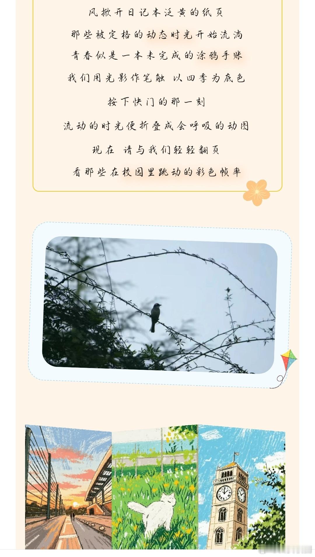 陕西高校青春涂鸦手账 铁板煎饼画出圆舞曲线条，图书馆墨香晕染星河流淌。荧光跑鞋踏