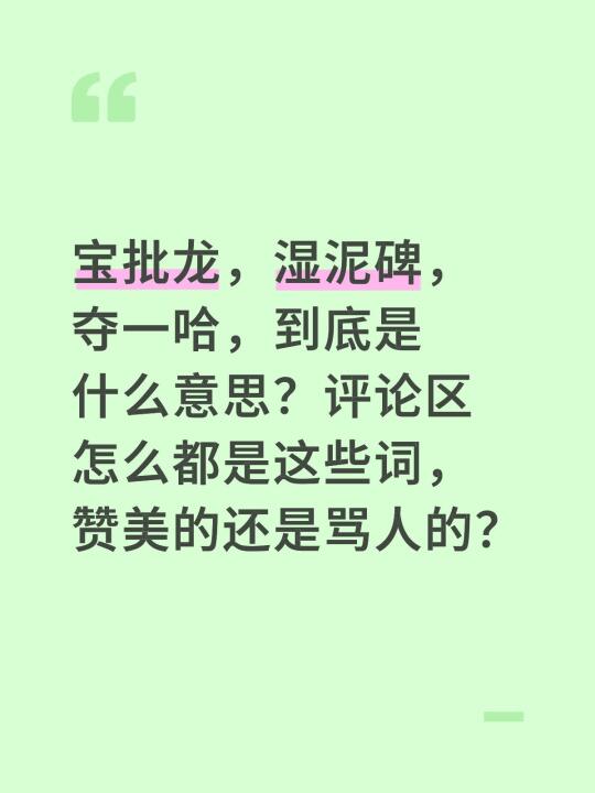 宝批龙，湿泥碑，夺一哈，到底是什么意思？评论区怎么都是这些词，赞美的还是骂人的？