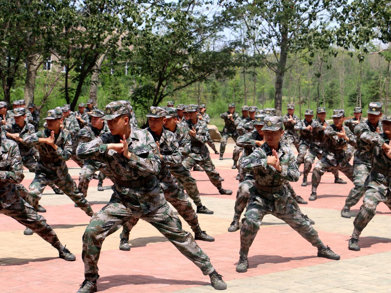 总有人随口说在部队干满十二年，回来了政府就会给安排工作，很稳当。说这话的人，估计