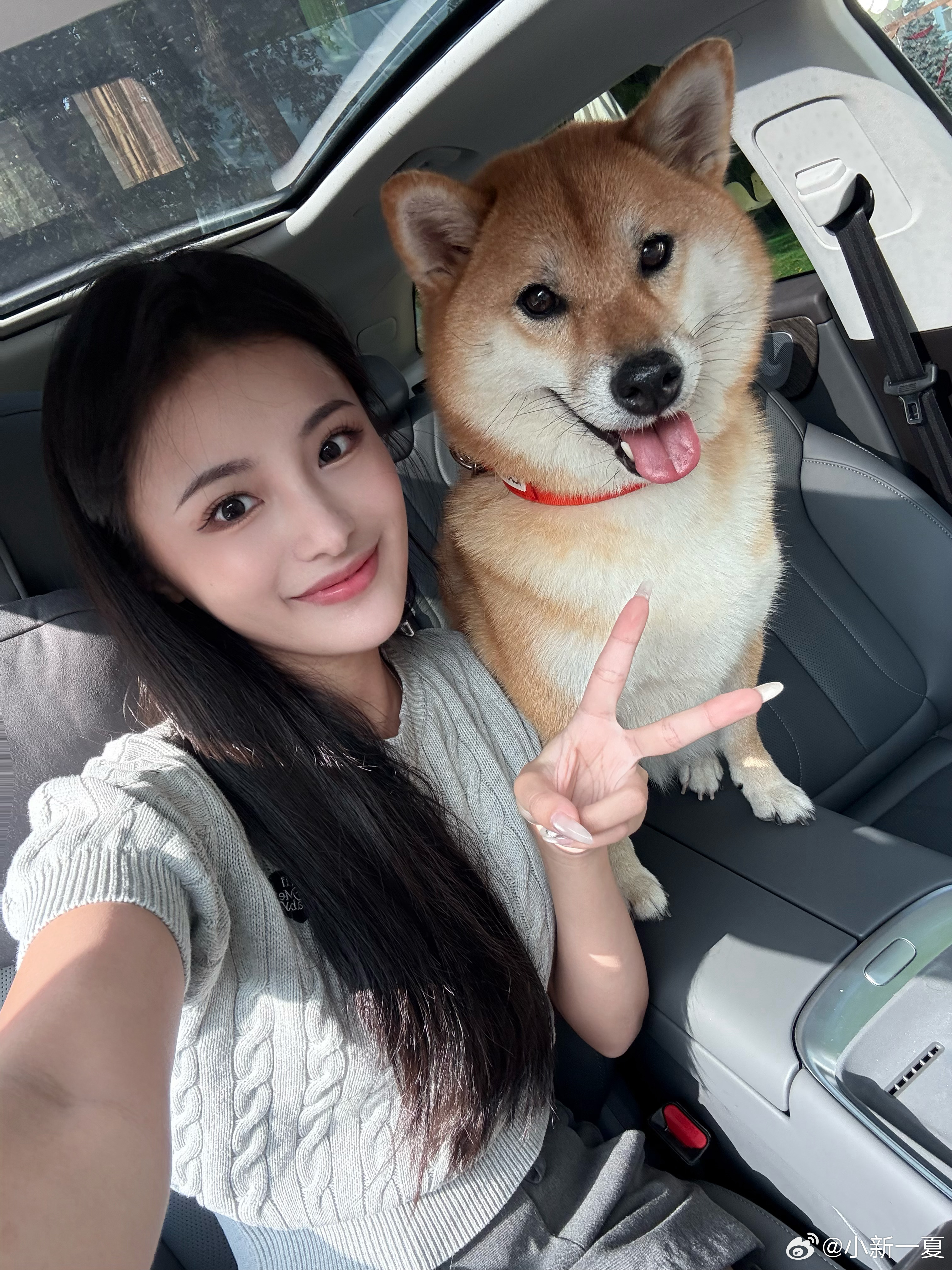 错峰出游选手请求出战！和海胆🐶开着零跑C11去秋游（32度高温版）啦～我们这个