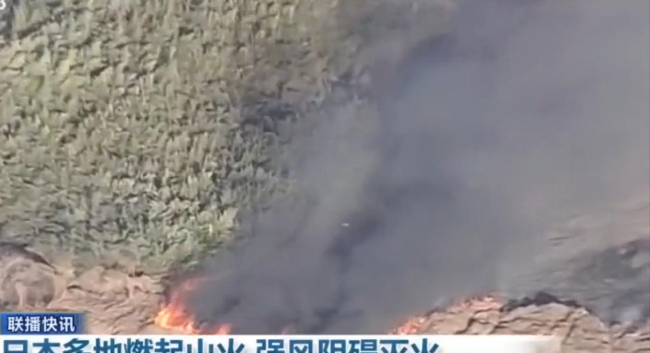 日本多地突发山火，熊熊烈焰在山林间蔓延，滚滚黑烟直冲天际，火情形势十分危急。更棘