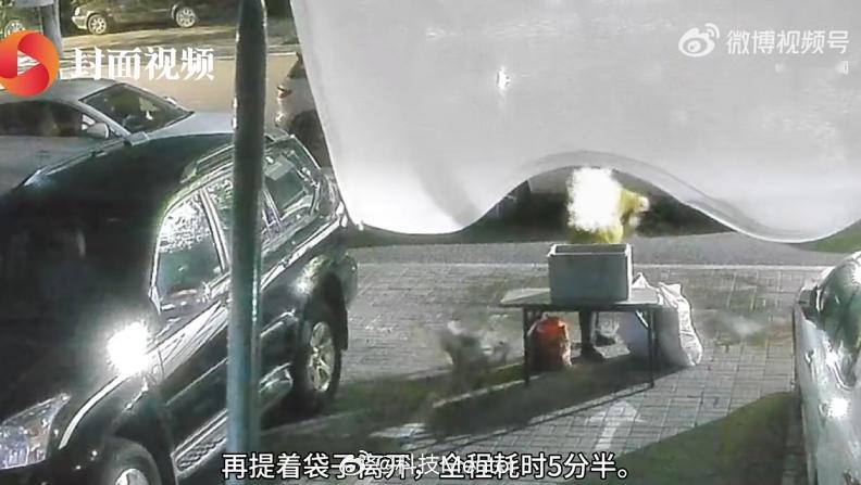 女子凌晨倒掉24瓶爱心水被拍下看到这种事真的能把人活活气笑了！人家好心设个爱心水