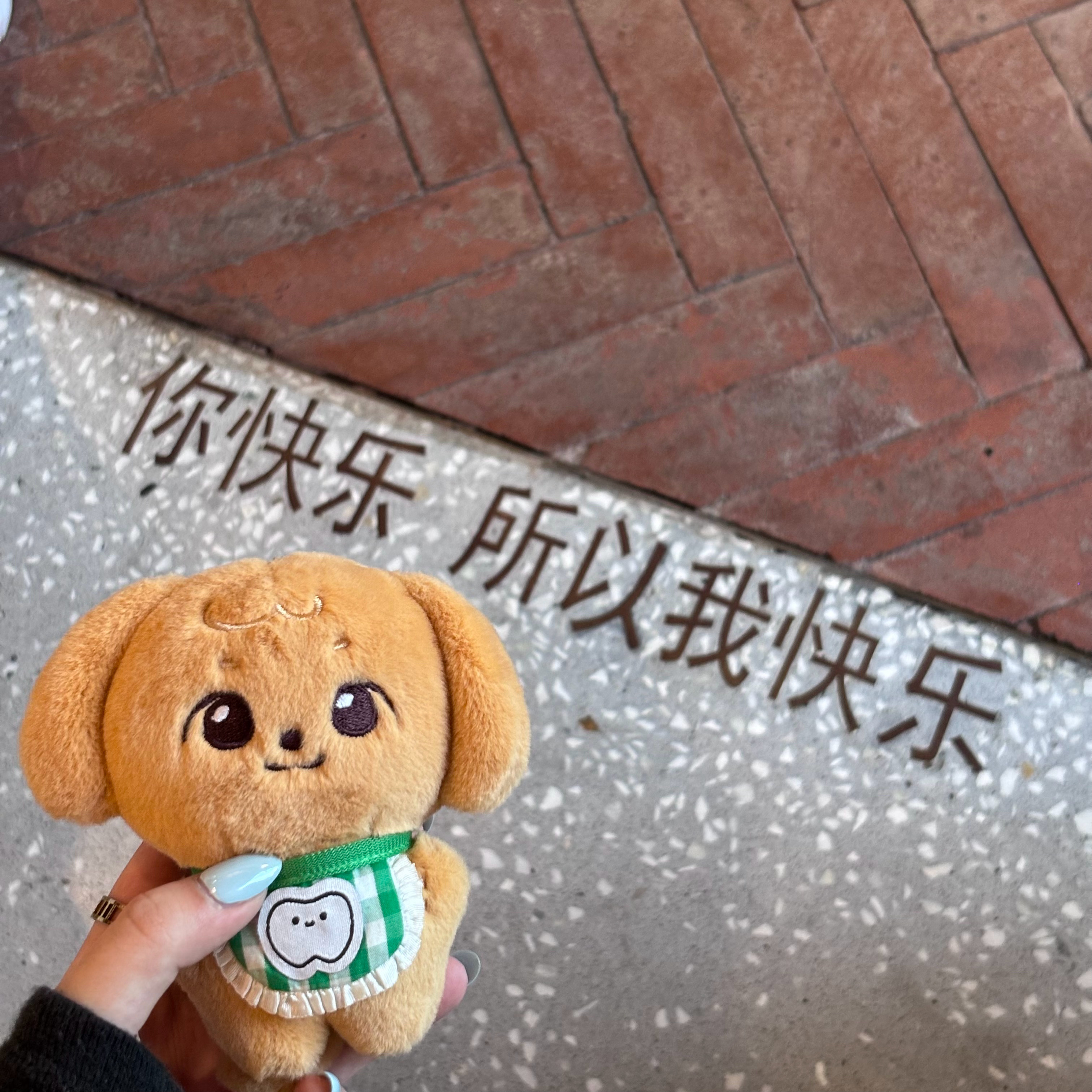 分享图片 