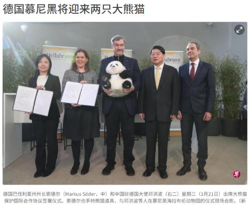 日本再羡慕也没用！德国传来喜讯，中国野生动物保护协会与德国一家动物园签署协议，德