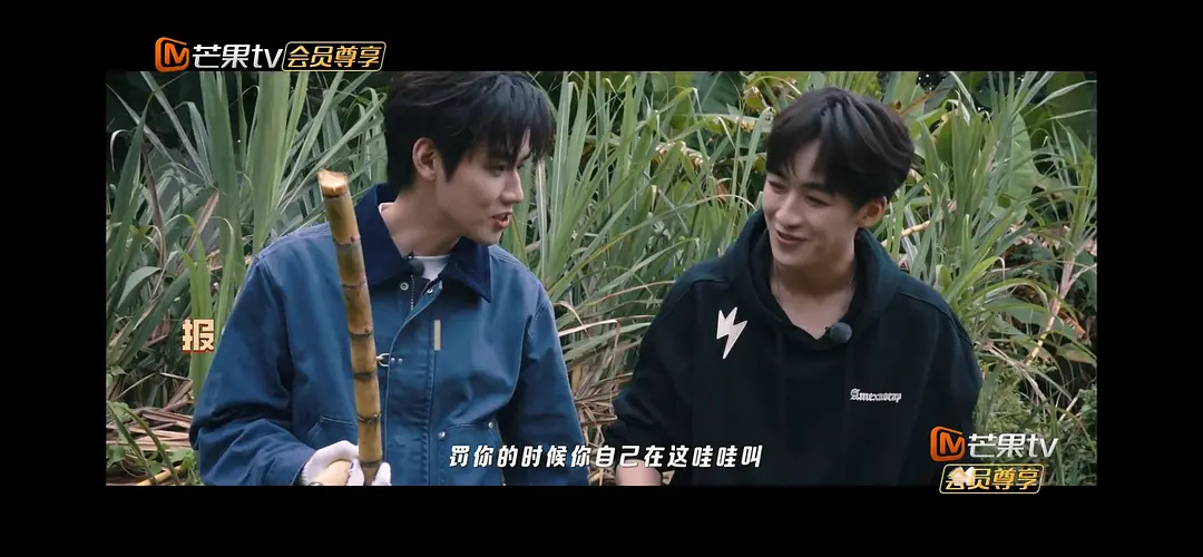 任豪和何洛洛之间的氛围是不是怪怪的？ 