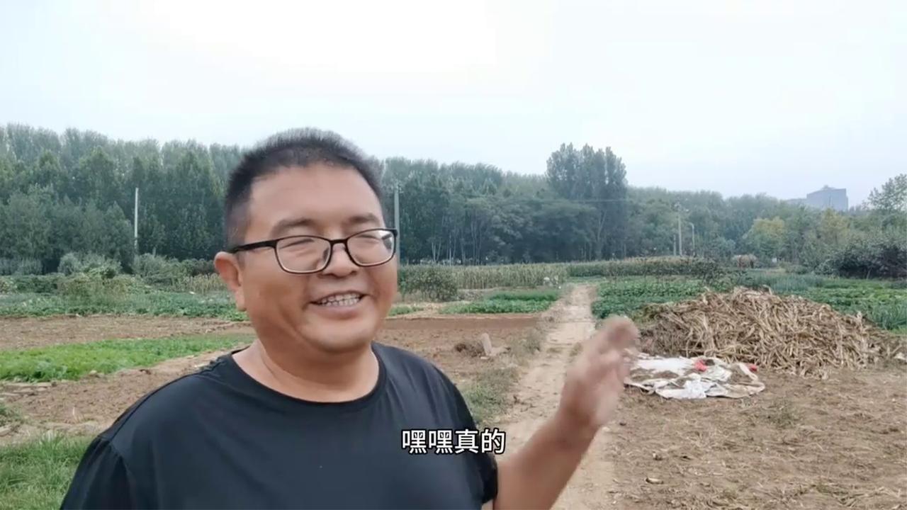 如何改良土壤？70岁农村大叔这样做，来年蔬菜长势旺病害少。