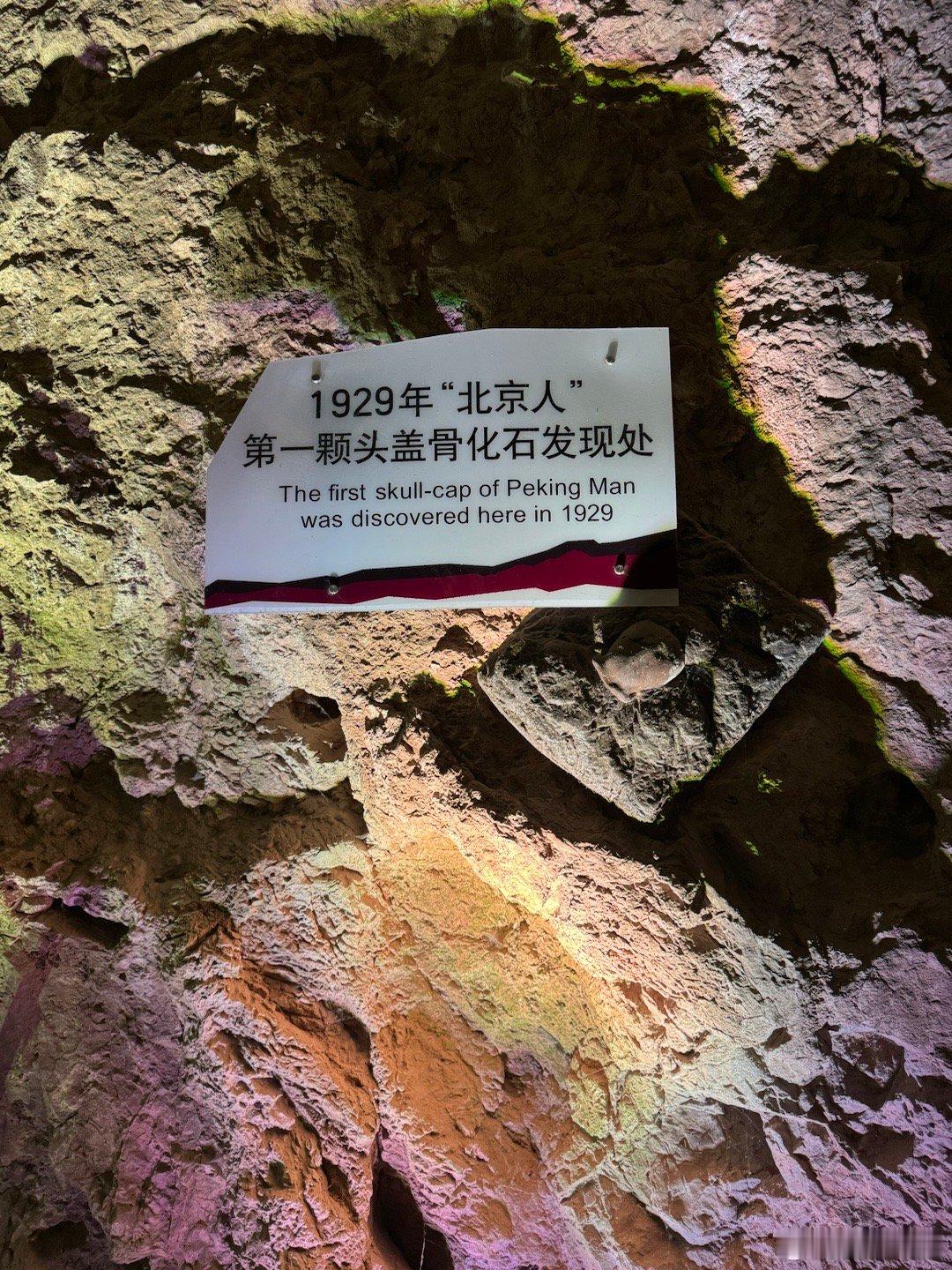 文史专业生存指南作为一名刚大学毕业没多久的文史爱好者，给打算报文史专业的准大学生