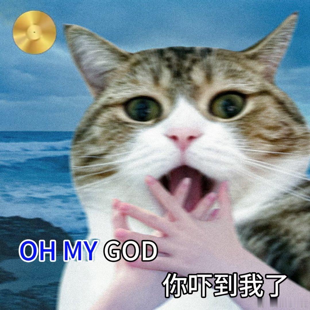 抱冬瓜睡觉的第一批受害者出现了不是…我还以为只是拍个视频玩梗而已，还真有神人抱着