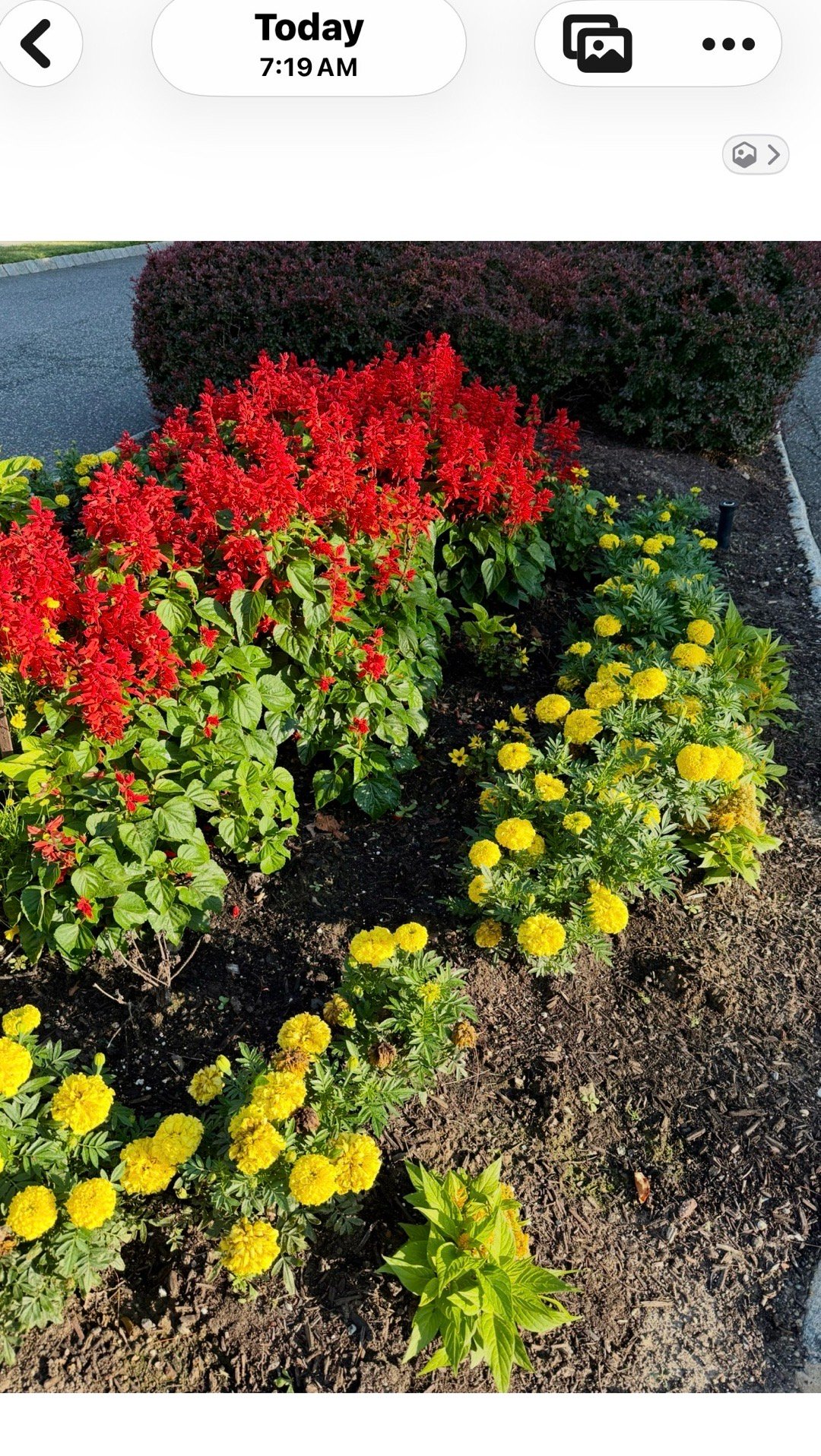 【白不说：晒太阳】太阳亮堂堂地照着已大醒的周日清晨 七八点钟运动的人群渐渐出动有