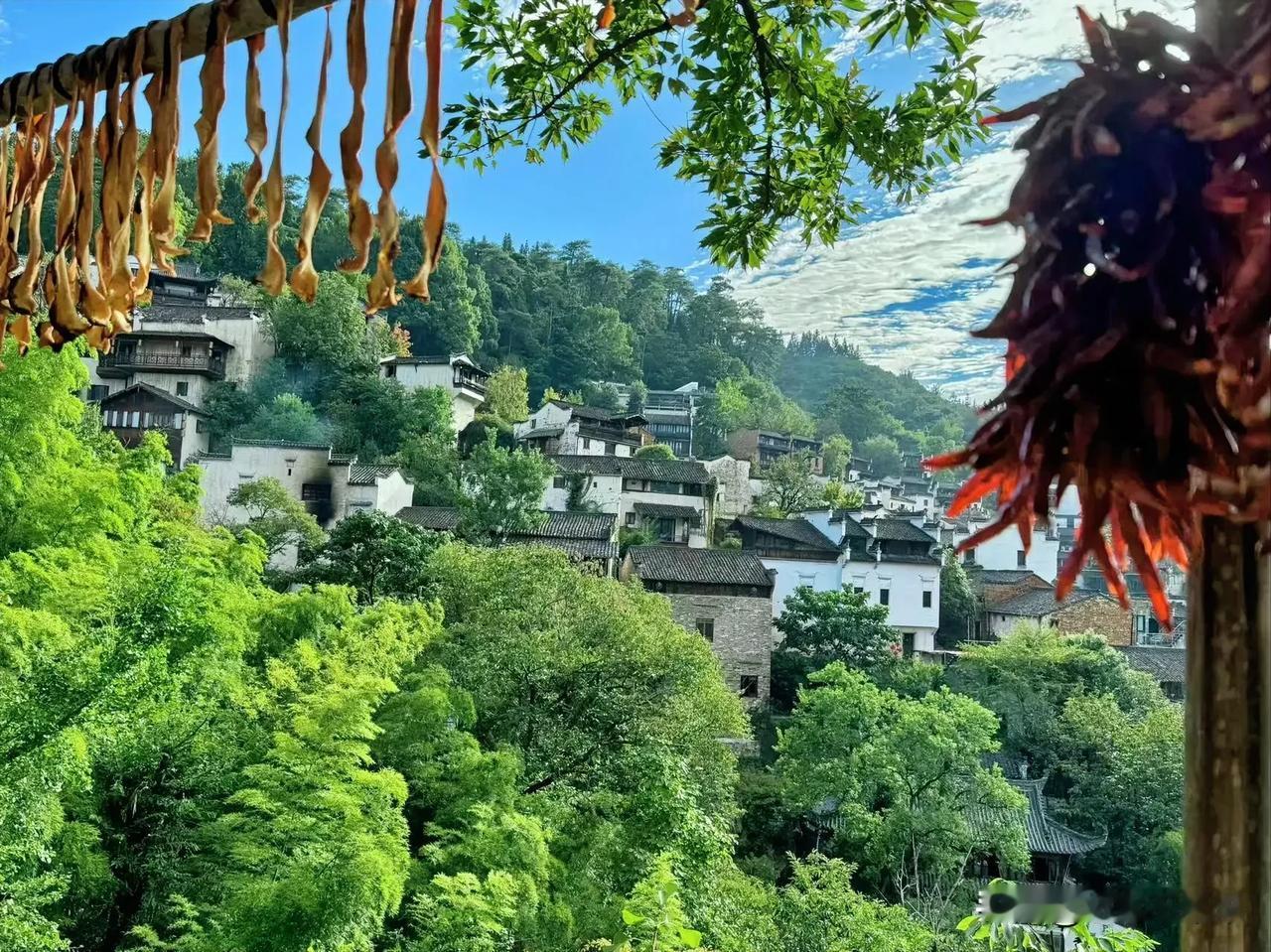 #秋日生活打卡季#远看山有色，近听水无声。秋天该有的样子都有了[庆祝]