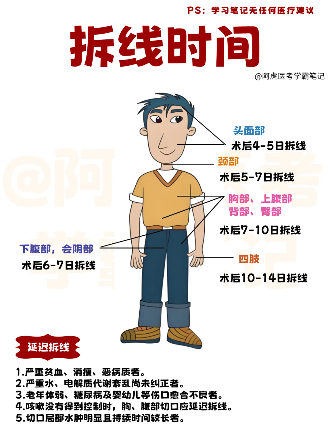 医学生笔记📒：拆线时间👆