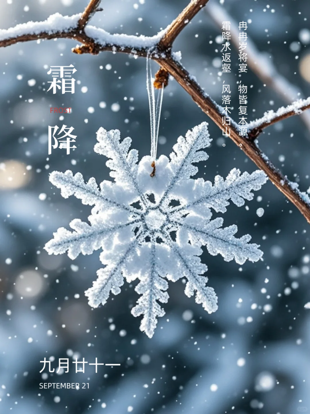 霜降｜霜降节气｜二十四节气｜霜降海报