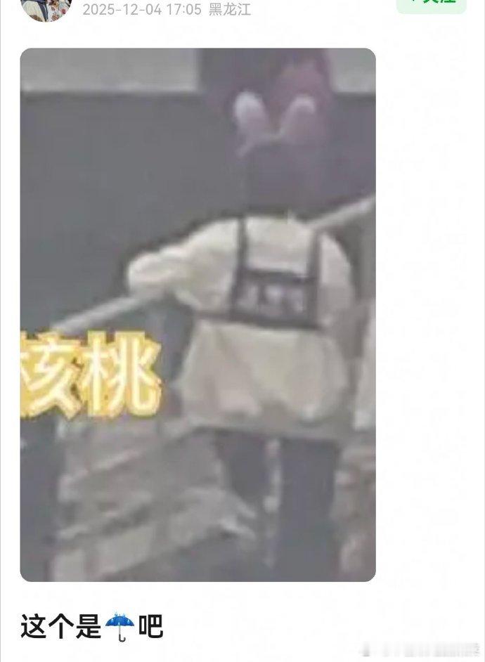 tg 老肆肆这是录什么？ 