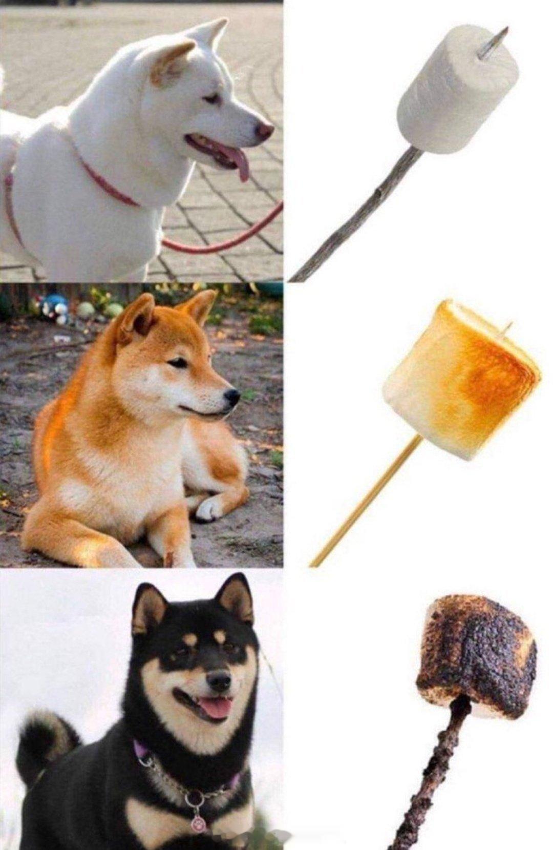 “你要吃哪种口味儿的” ​​​