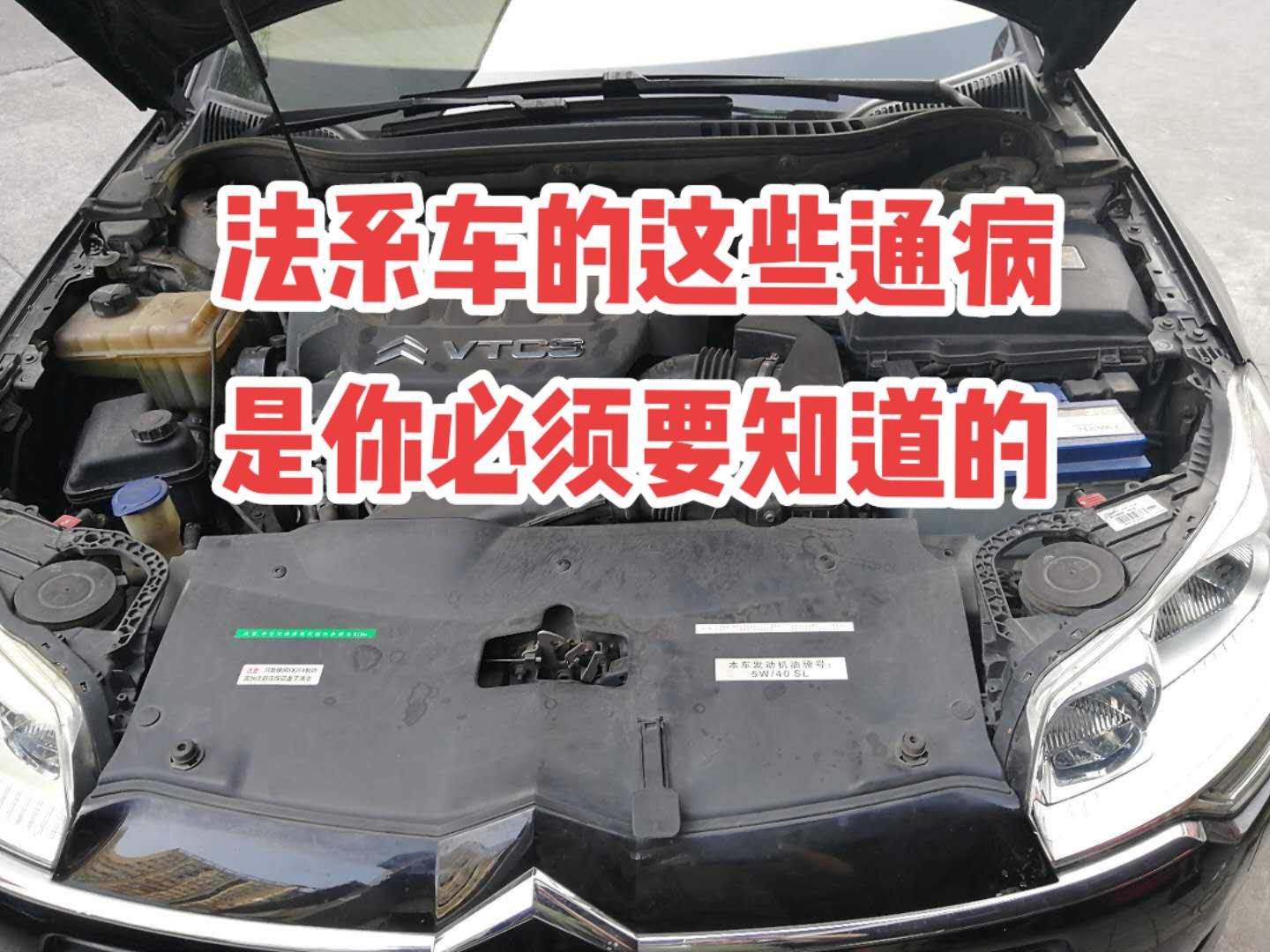 法系车通病分享。