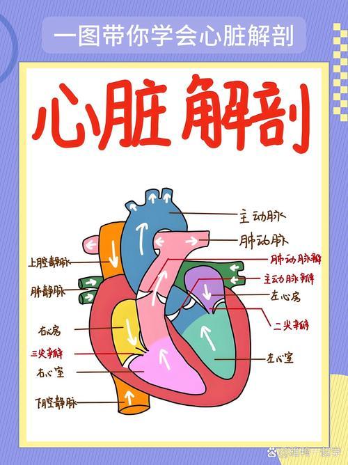 心脏好不好？关键看这8个指标，全达标的人真的不多

这8个指标正是美国心脏协会（