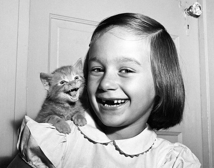 小女孩和她的猫，1955年 ​​​