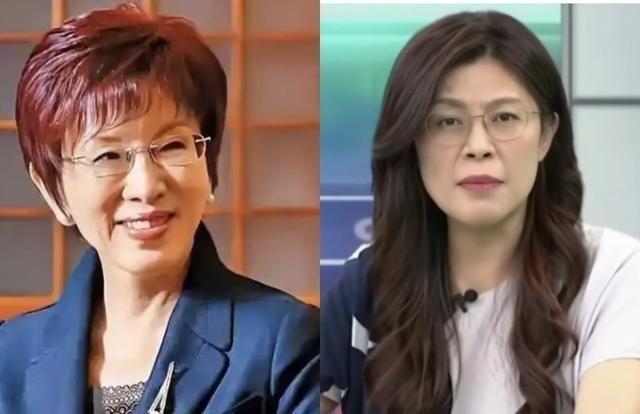 不查不知道，查了才明白！其实郑丽文和洪秀柱最大区别是：郑丽文上任后采取的是表面反