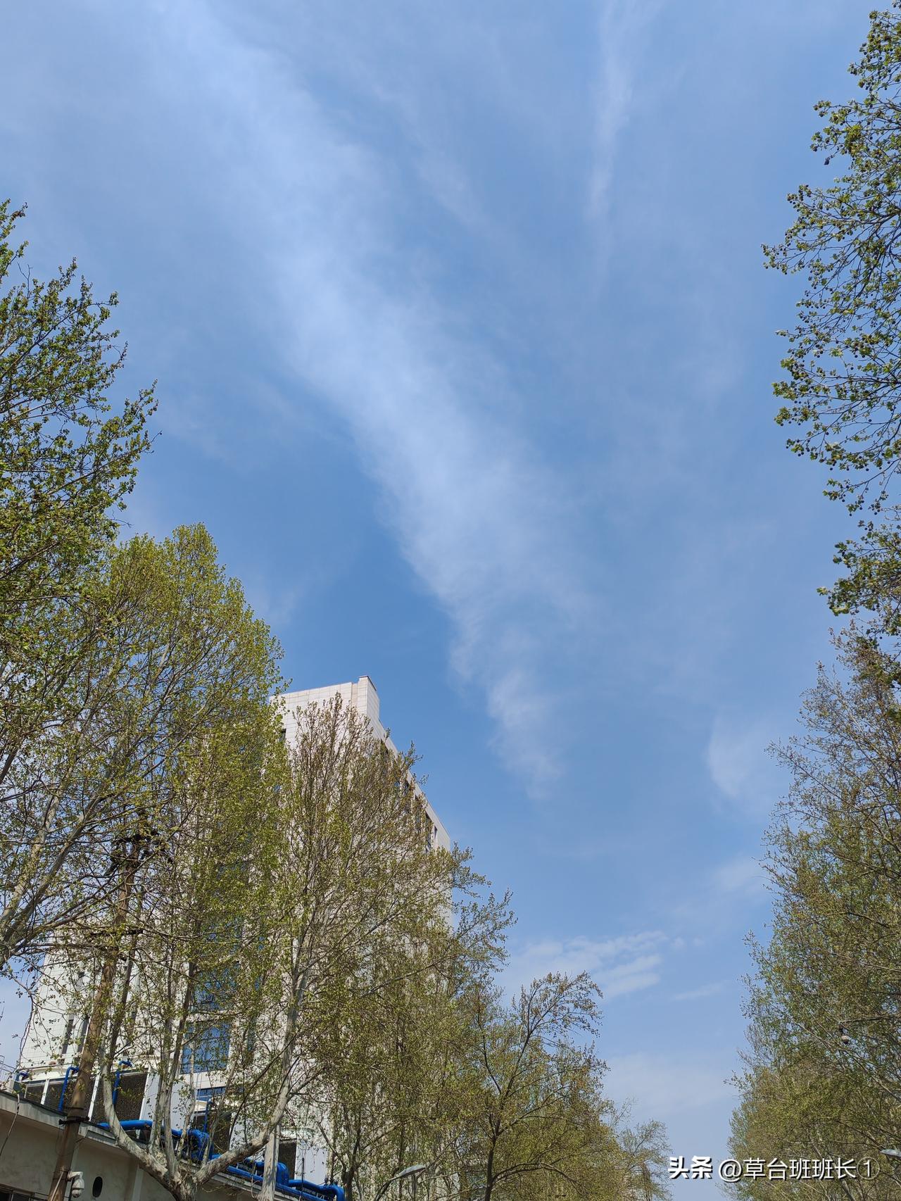 蓝蓝的天，春天万物复苏，抬头看看天，就很开心，一切都像刚开始的样子，充满了希望。