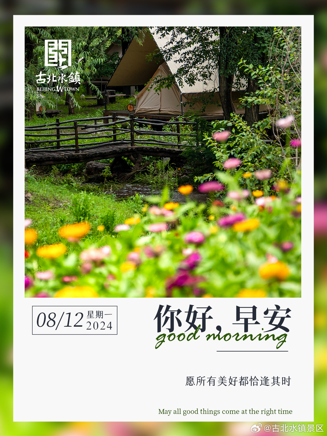 愿所有美好都恰逢其时早安，宝子们~#长城下的星空小镇# #古北水镇光之城# #花