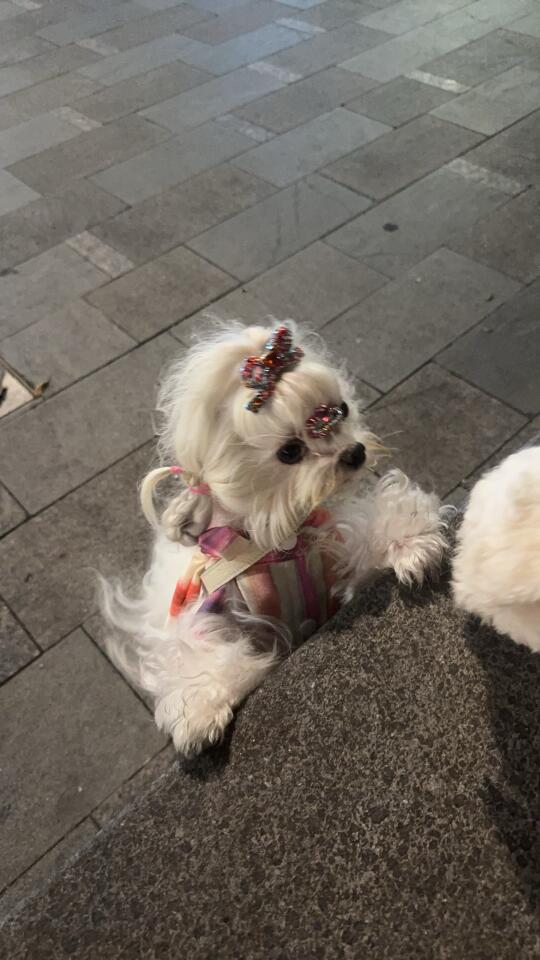 广州找电商带货主播ddd