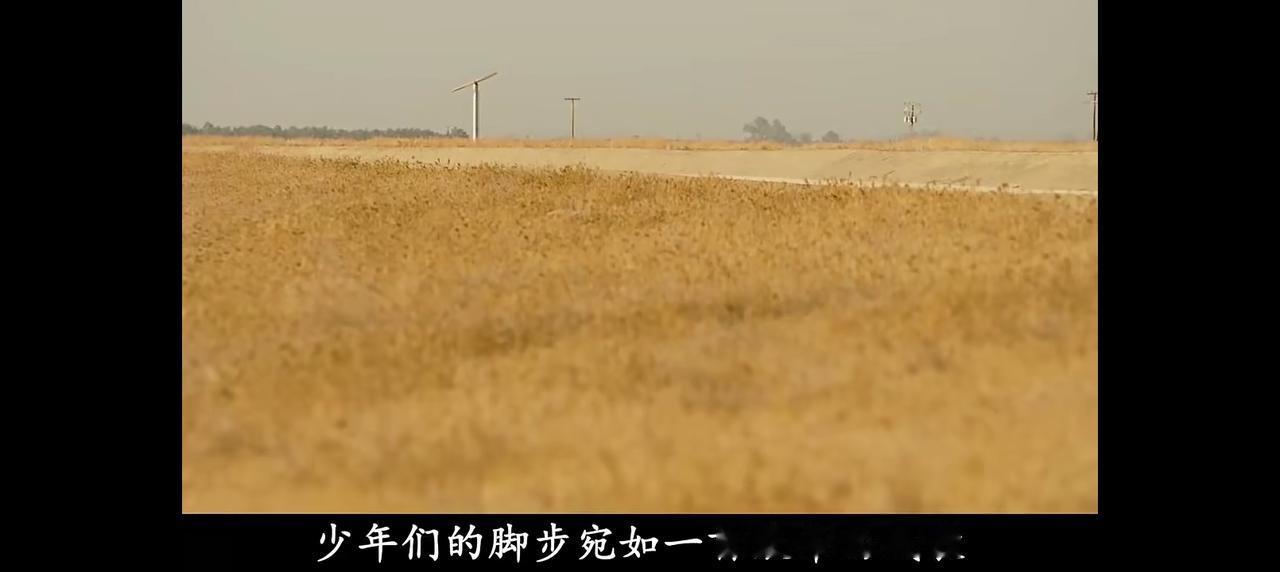 他们兜里不差钱，身边不差异性，又没有孩子束缚，想爱谁爱谁。
年轻时候的轰轰烈烈，