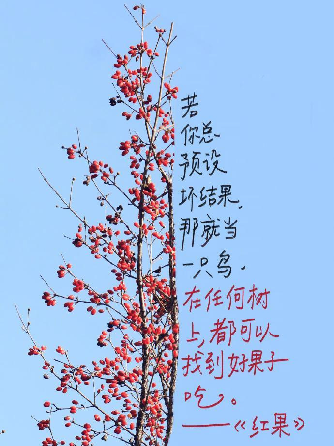 “   没结局的故事太多    希望你开心    无论和谁 无论在哪”  