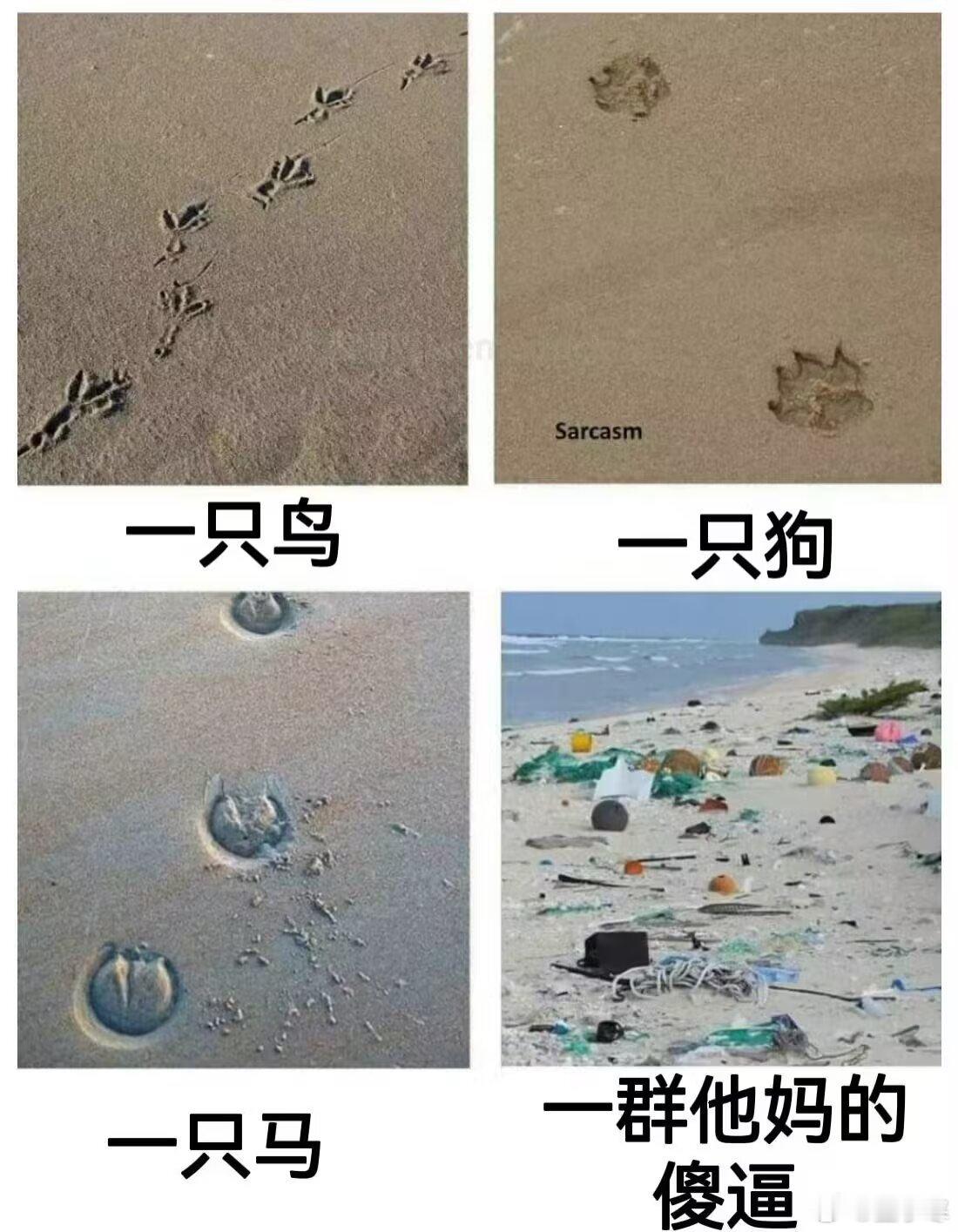 分享图片 ​​​