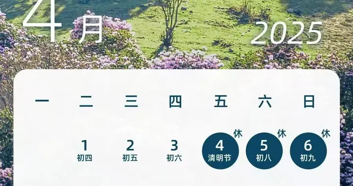 定了！这8天，免费！