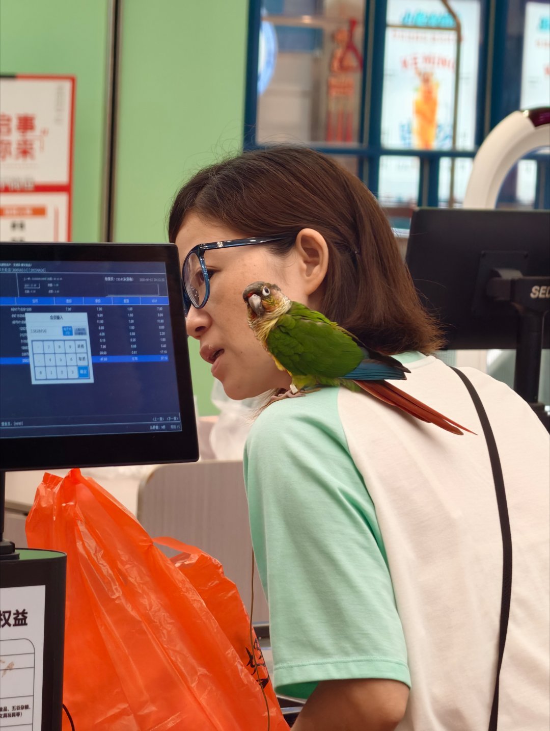 第一次看到带个🦜逛超市的人，好帅好好玩啊！！